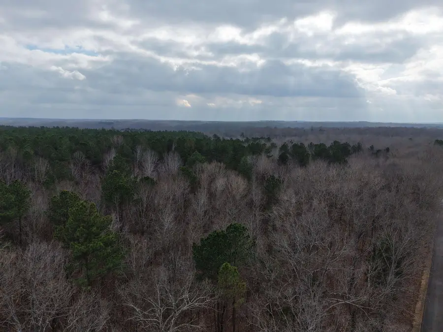 000 ROCKPORT MCILLWAIN RD, Holladay, TN 38341 - Image #2