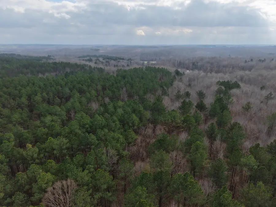 000 ROCKPORT MCILLWAIN RD, Holladay, TN 38341 - Image #3