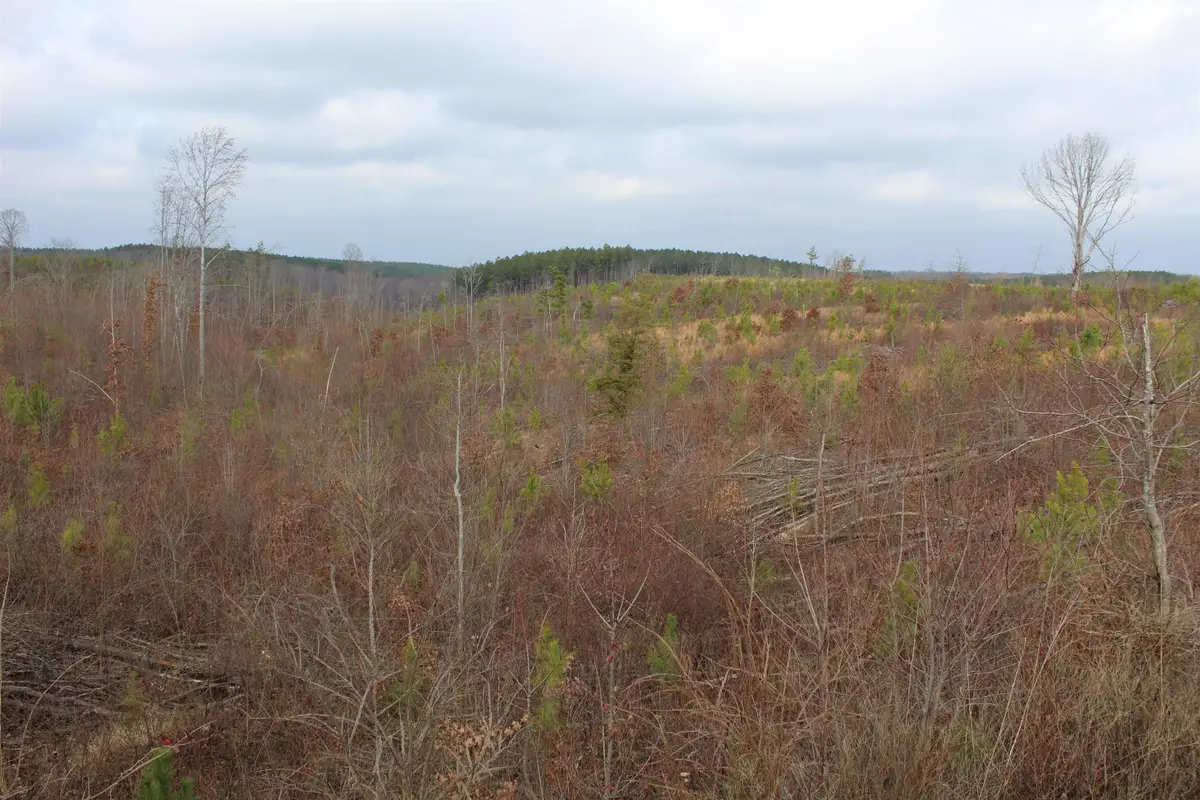 00 ROCKPORT MCILLWAIN RD, Holladay, TN 38341 - Image #1