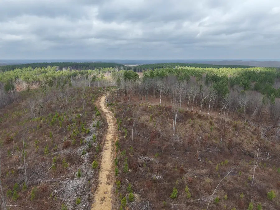 00 ROCKPORT MCILLWAIN RD, Holladay, TN 38341 - Image #3