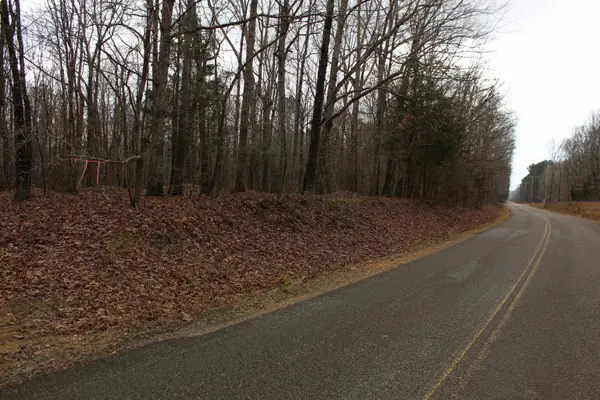 0 ROCKPORT MCILLWAIN RD, Holladay, TN 38341