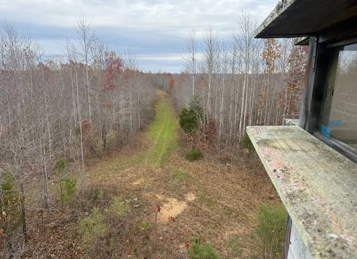000 S EAGLE CREEK RD, Holladay, TN 38341 - Image #1