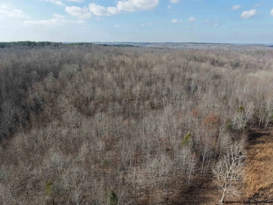 000 S EAGLE CREEK RD, Holladay, TN 38341 - Image #2