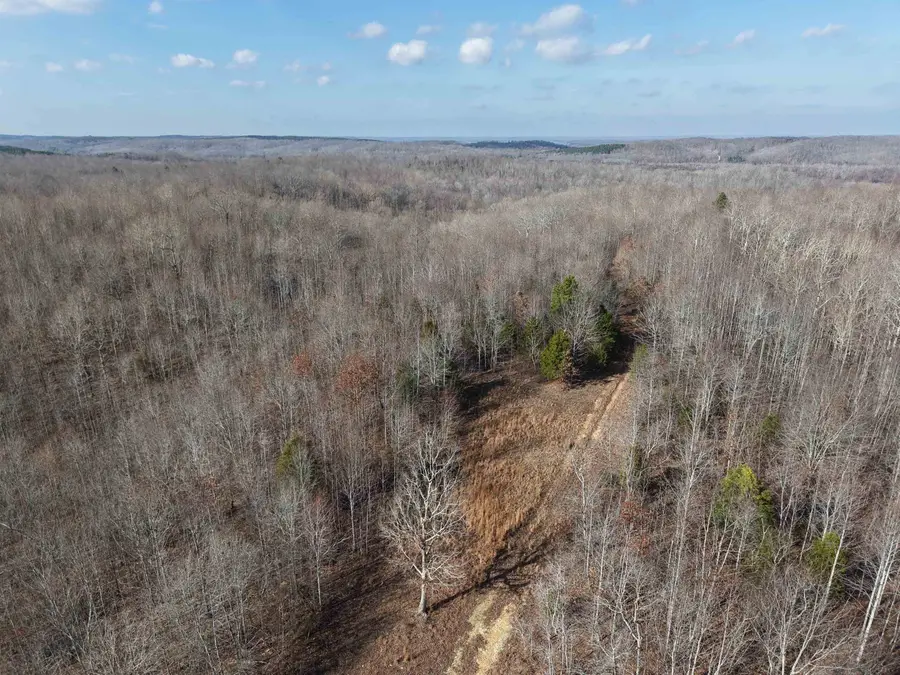 000 S EAGLE CREEK RD, Holladay, TN 38341 - Image #3