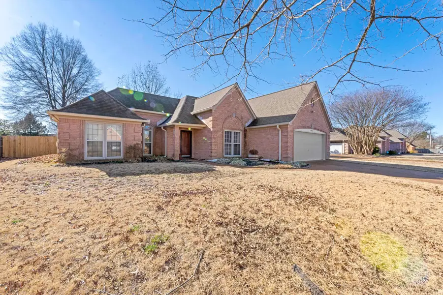 8655 LEAF MANOR CV, Cordova, TN 38018 - Image #3