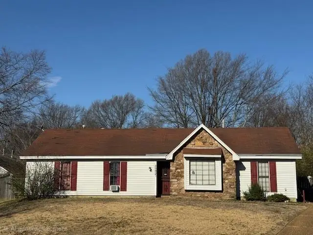 3889 BIRCHMEADOW CV, Memphis, TN 38115 - Image #3