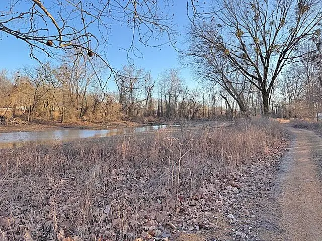 HARRY TERRY DR, Savannah, TN 38372 - Image #2