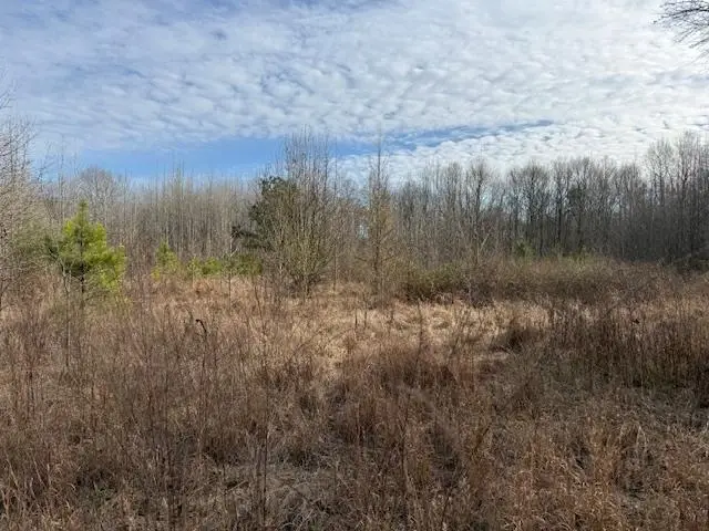 0 MCNAIRY DR, Savannah, TN 38372 - Image #2