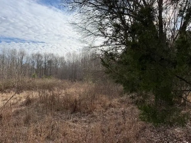 0 MCNAIRY DR, Savannah, TN 38372 - Image #3