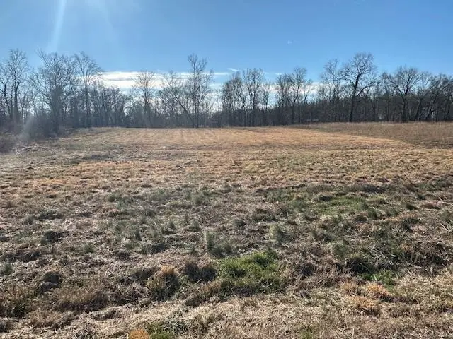 136 RIVER RUN ESTATES/CRAVENS RD, Savannah, TN 38372 - Image #2