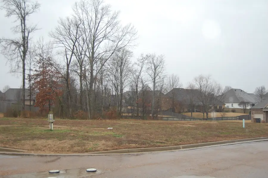 10267 GRAY HERON LN, Lakeland, TN 38002 - Image #3