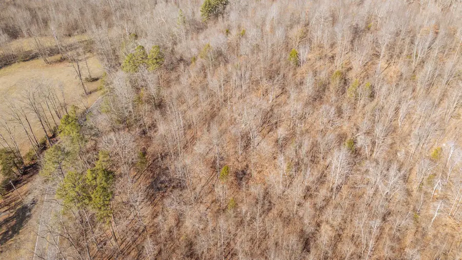 3310 HOLLAND CREEK RD, Savannah, TN 38372 - Image #3