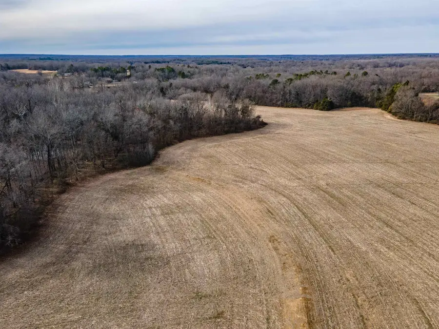 MT. MORIAH RD, Somerville, TN 38068 - Image #3