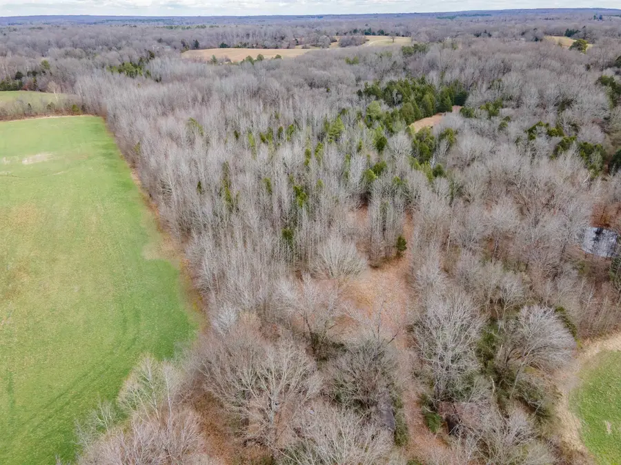 00 HWY 64 HWY, Somerville, TN 38068 - Image #3