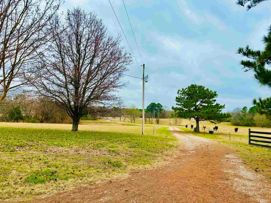 0 HIGHWAY 64 HWY, Whiteville, TN 38075 - Image #3