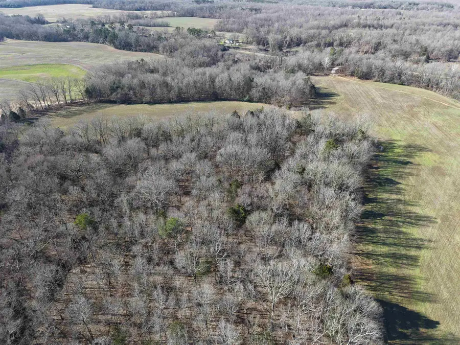00 VILDO RD, Bolivar, TN 38008 - Image #3