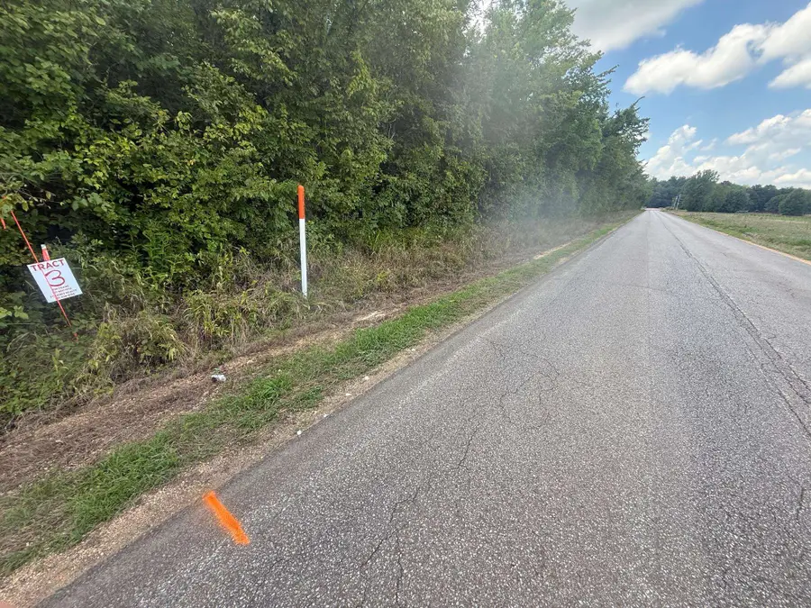 TRACT 2 COFFEE LANDING RD, Savannah, TN 38372 - Image #3