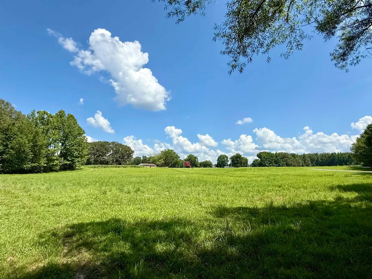 6055 FEATHERS CHAPEL DR, Somerville, TN 38068 - #1