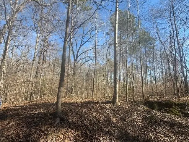 TRACT 1 GEORGE WALTER RD, Bolivar, TN 38008 - Image #3