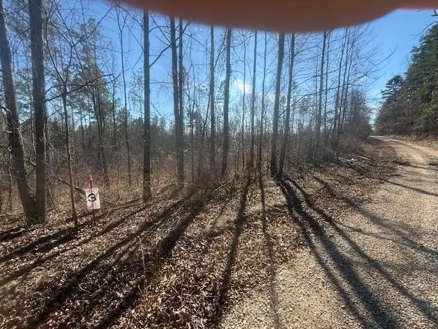 TRACT 3 GEORGE WALTER RD, Bolivar, TN 38008 - Image #1