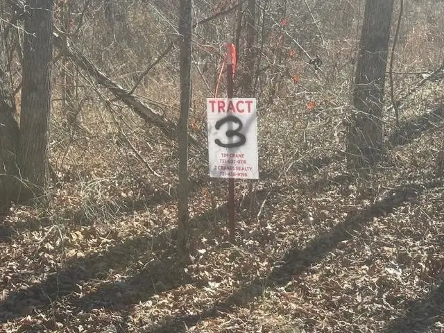 TRACT 3 GEORGE WALTER RD, Bolivar, TN 38008 - Image #3