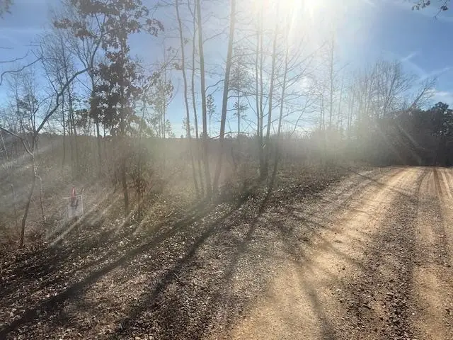 TRACT 4 GEORGE WALTER RD, Bolivar, TN 38008 - Image #1