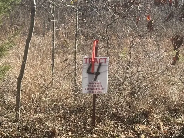 TRACT 4 GEORGE WALTER RD, Bolivar, TN 38008 - Image #3