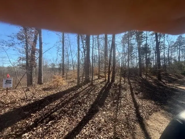 TRACT 5 GEORGE WALTER RD, Bolivar, TN 38008 - Image #3