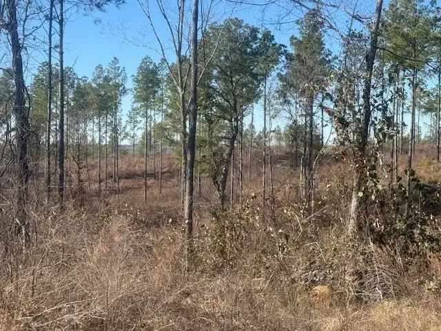 TRACT 6 HARRIS RD, Bolivar, TN 38008 - Image #3