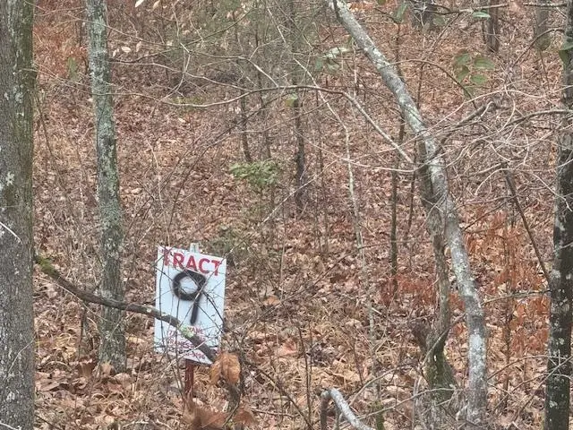 TRACT 9 HARRIS RD, Bolivar, TN 38008 - Image #3