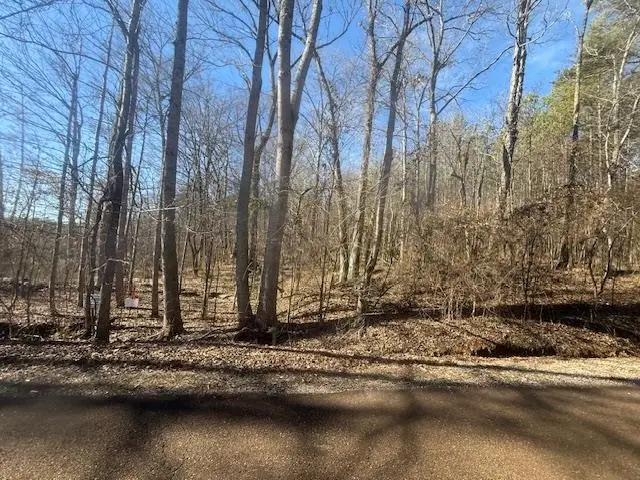 TRACT 11 HARRIS RD, Bolivar, TN 38008 - Image #3