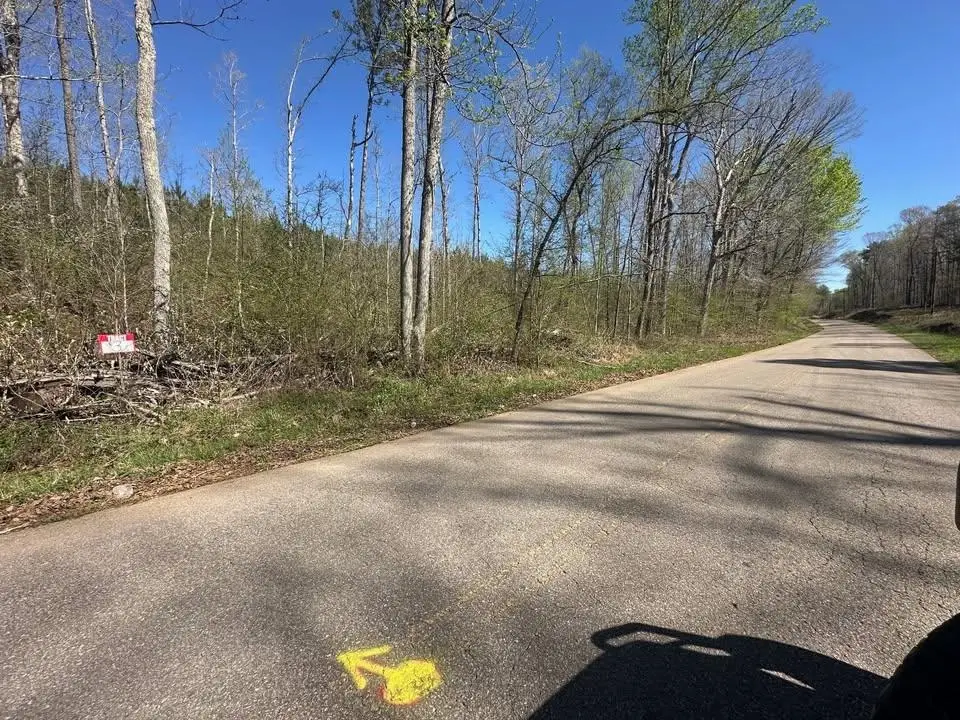 TRACT 3 BRUTON BRANCH RD, Savannah, TN 38372-5213 - Image #1