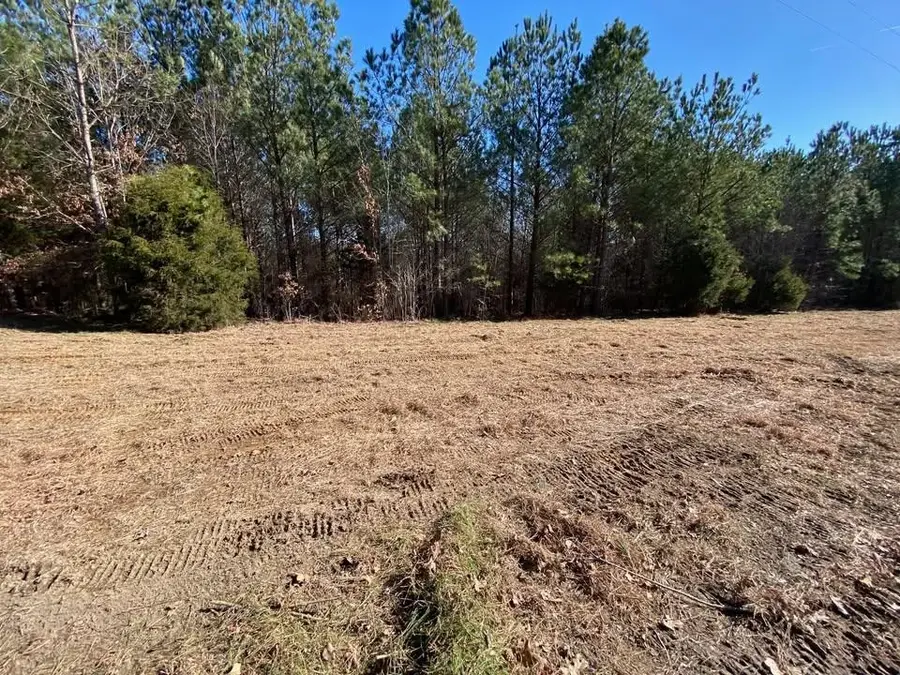 TRACT 8 MARTIN RD, Reagan, TN 38368 - Image #2