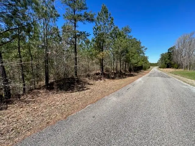 TRACT 19 KING RD, Medon, TN 38356 - Image #1