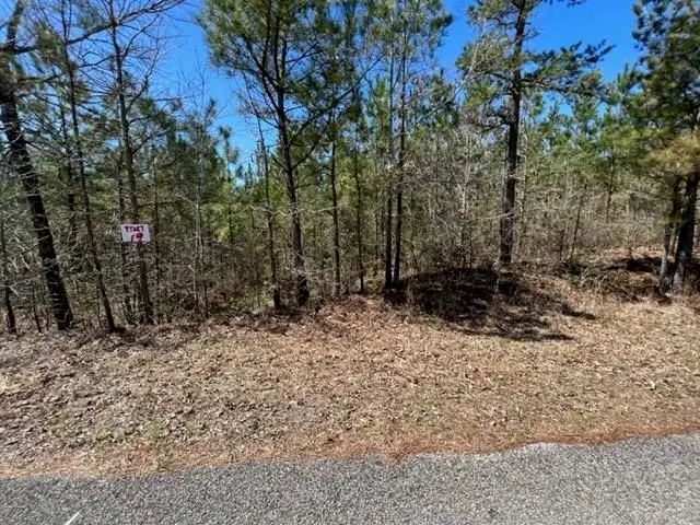 TRACT 19 KING RD, Medon, TN 38356 - Image #2