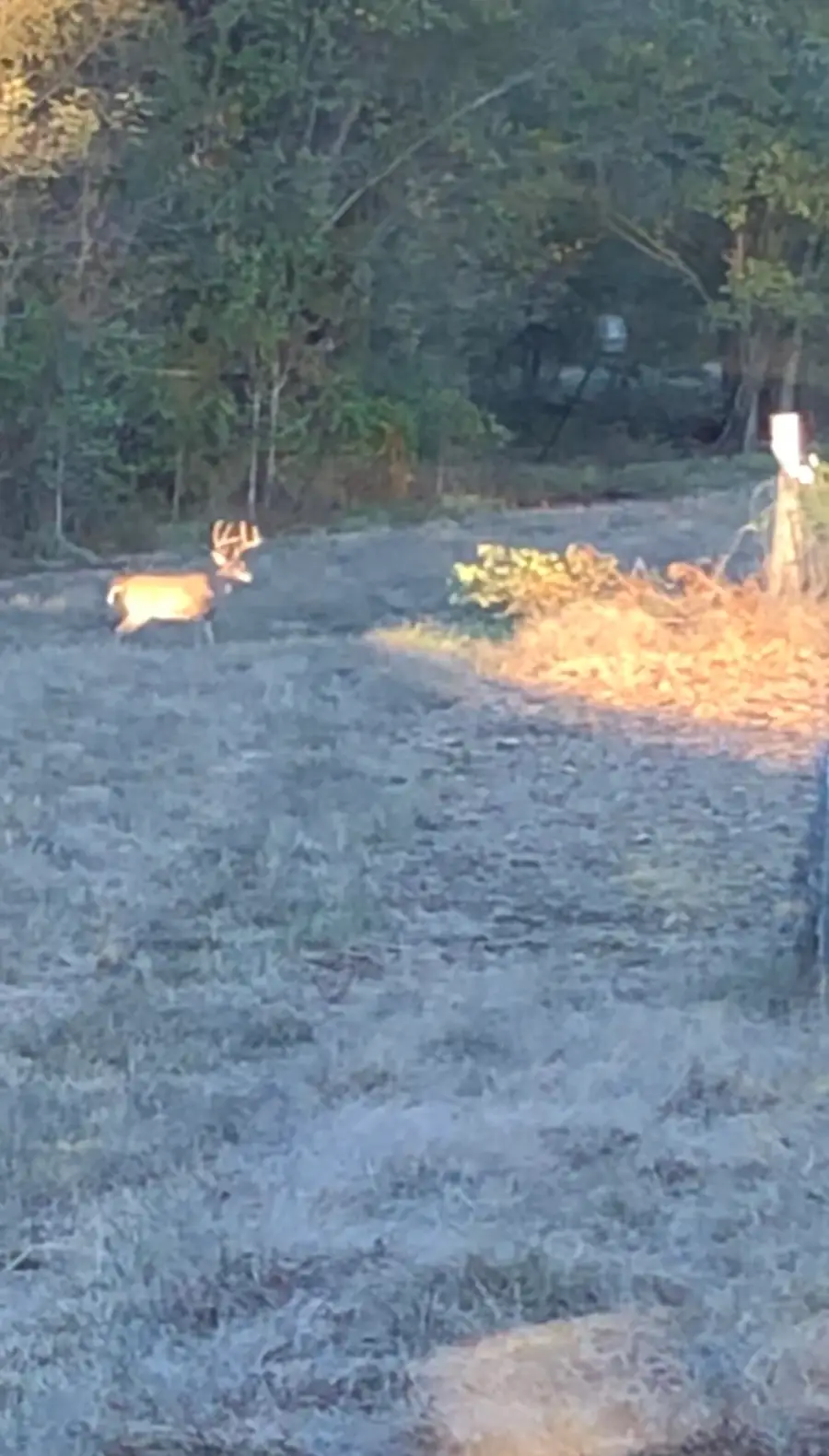 0 OLD BROWNSVILLE RD, Somerville, TN 38068 - Image #3