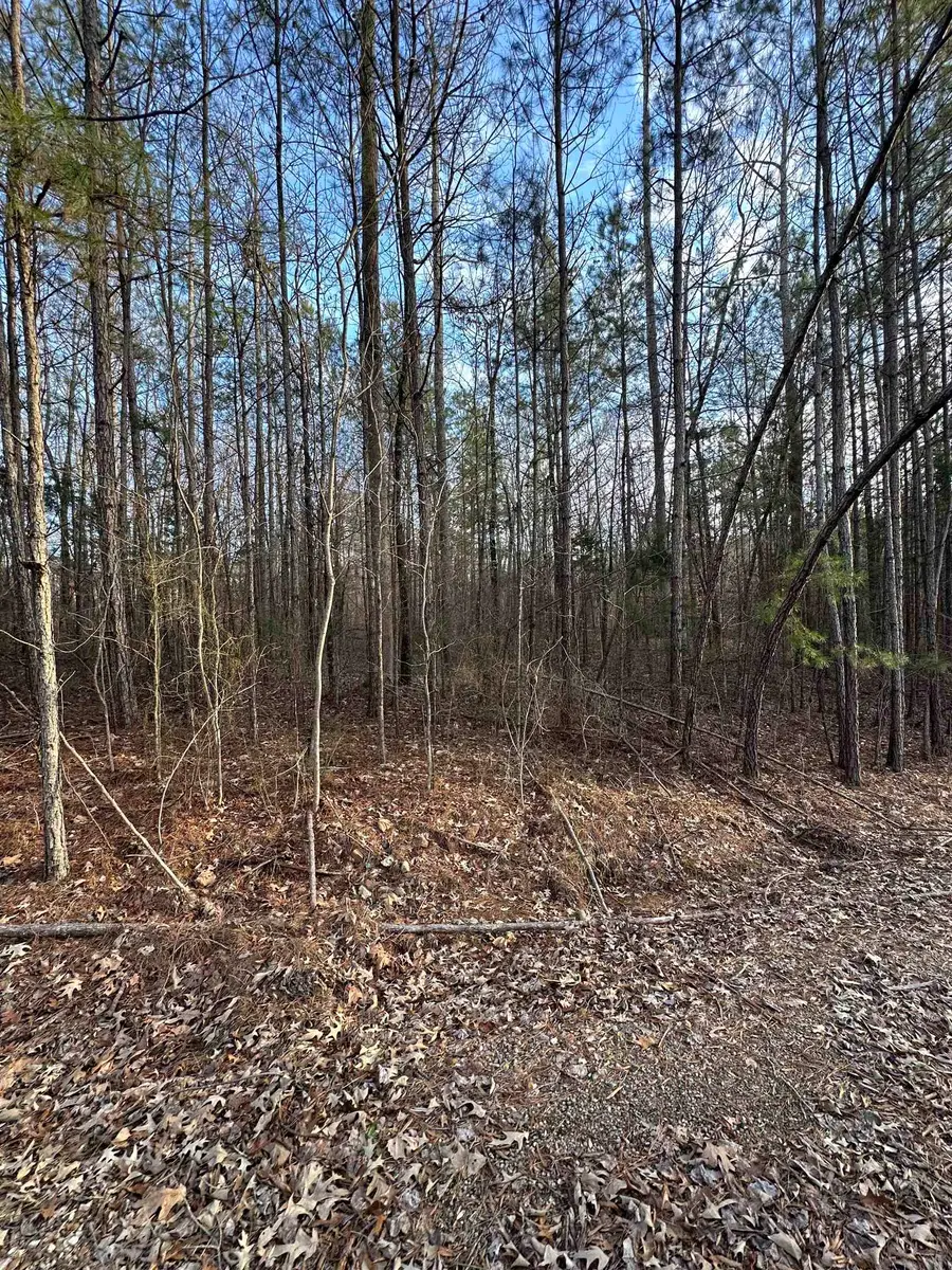 DELL ARBOR CIR, Ramer, TN 38367-9998 - Image #2