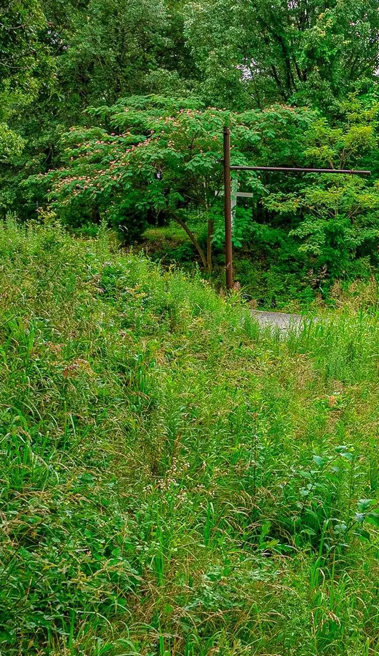 1115 WALK PL DR, Memphis, TN 38106 - Image #2