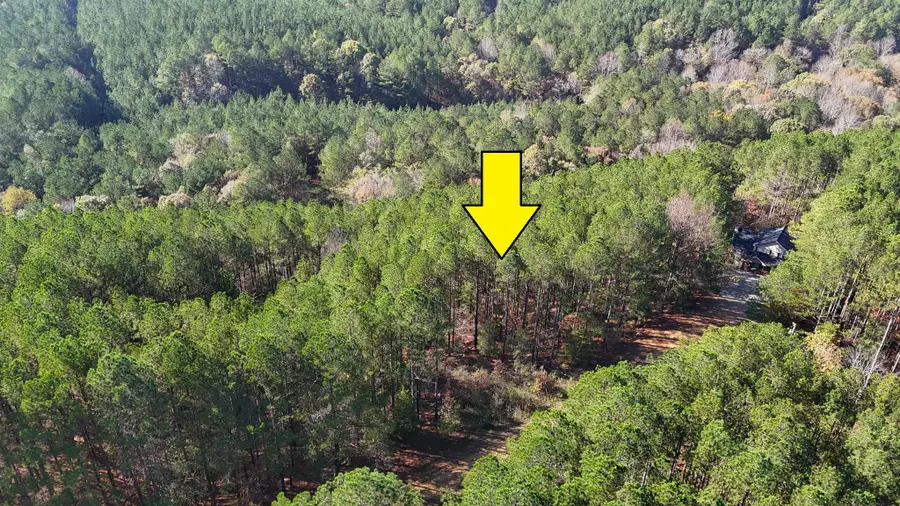 LOT 22,23 WOODLANDS OF RIVERTRACE RD, Iuka, MS 38852 - #2