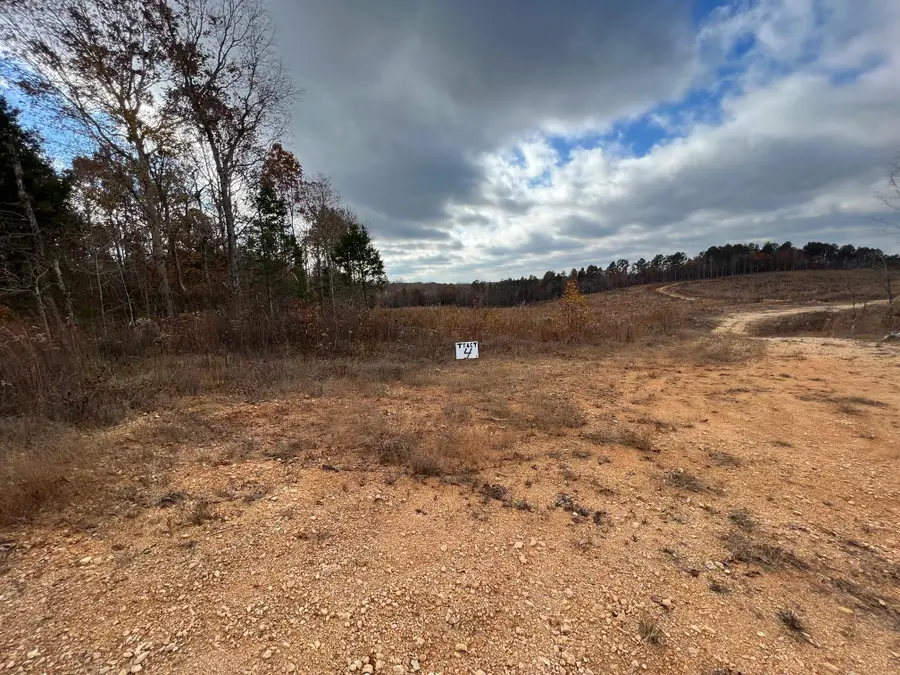 TRACT 4 OLD STATE HWY 69 HWY, Sugar Tree, TN 38380 - Image #3