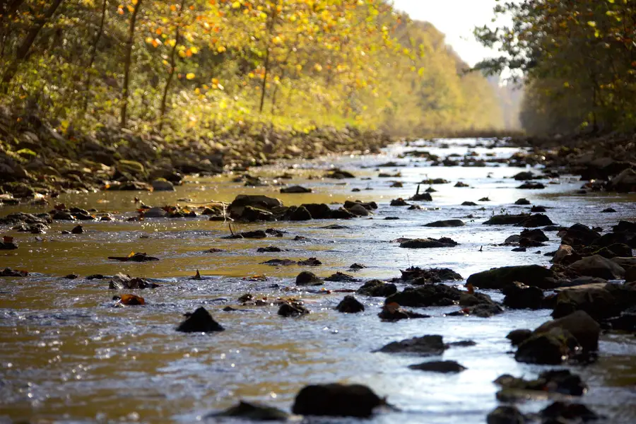 1761 CR-126 RD, Walnut, MS 38683 - #2