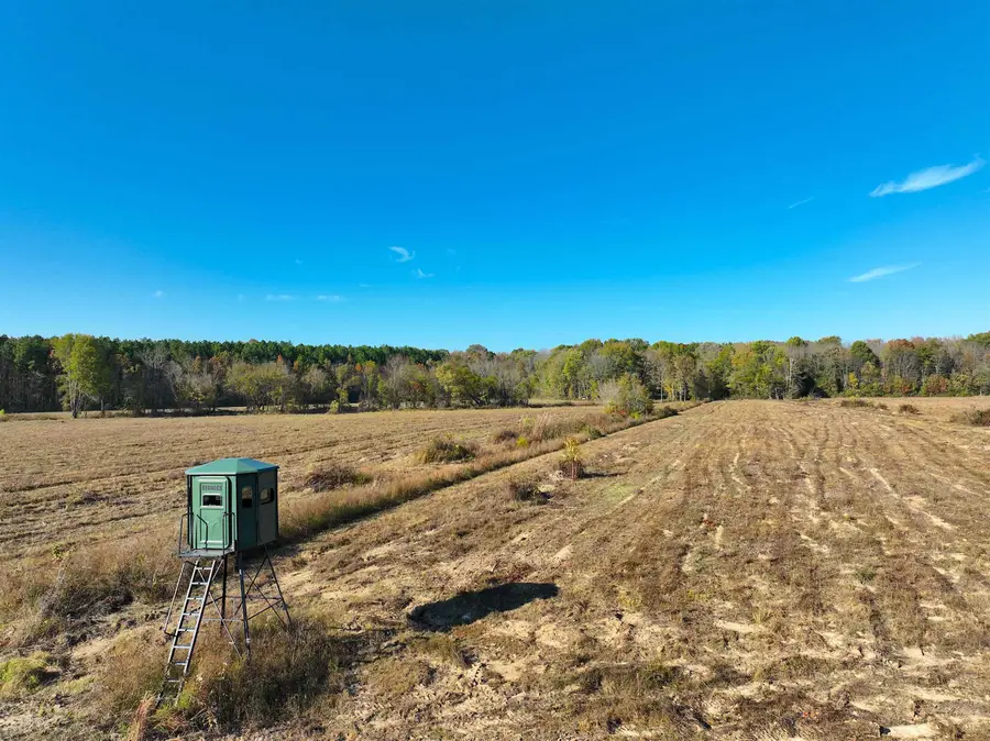 1761 CR-126 RD, Walnut, MS 38683 - #3