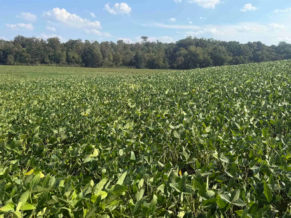 000 MT. CARMEL RD, Decaturville, TN 38329 - #1