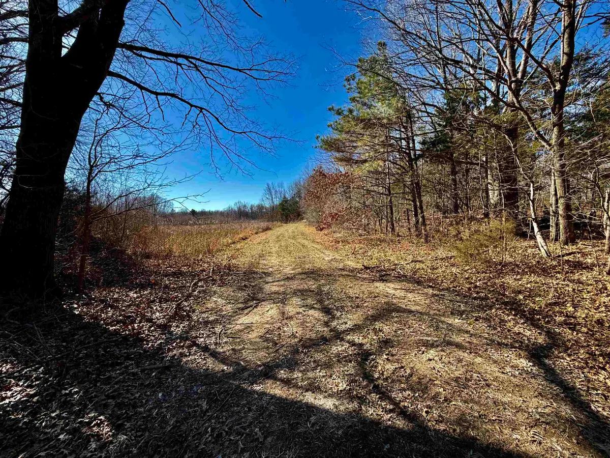 40.29 AC OLD BROWNSVILLE RD, Somerville, TN 38068 - #1