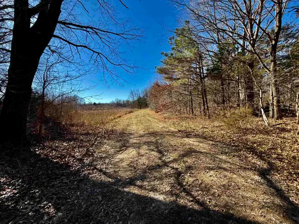 40.29 AC OLD BROWNSVILLE RD, Somerville, TN 38068