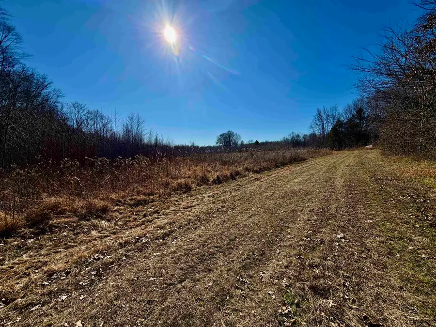 40.29 AC OLD BROWNSVILLE RD, Somerville, TN 38068 - #2