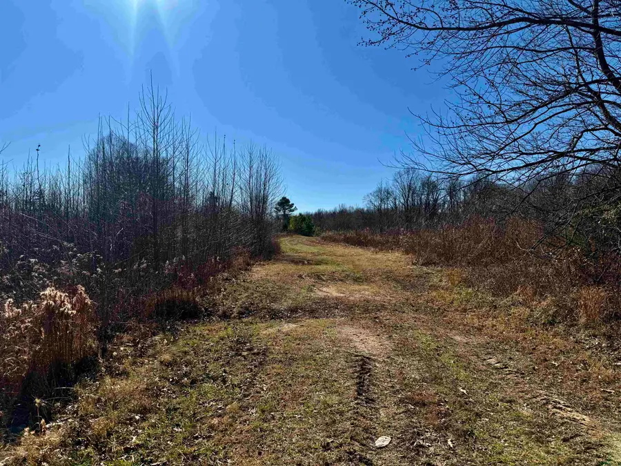 40.29 AC OLD BROWNSVILLE RD, Somerville, TN 38068 - #3