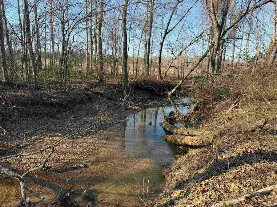 1 SMALL RD, Morris Chapel, TN 38361 - #3