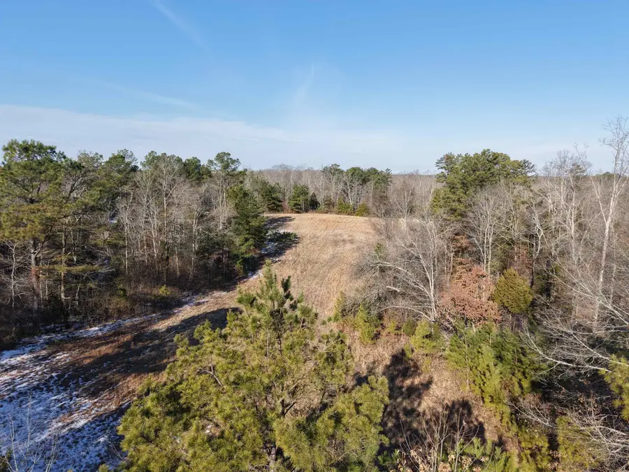 25 NEW UNION LOOP, Toone, TN 38381 - #2