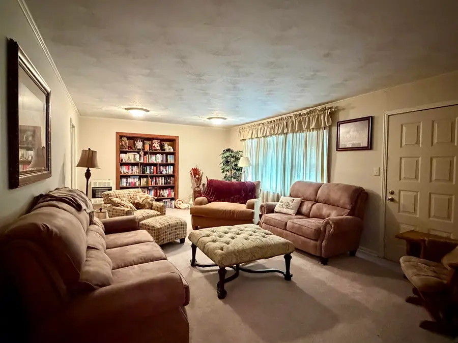 254 MICHIE RD, Michie, TN 38357-5107 - #2